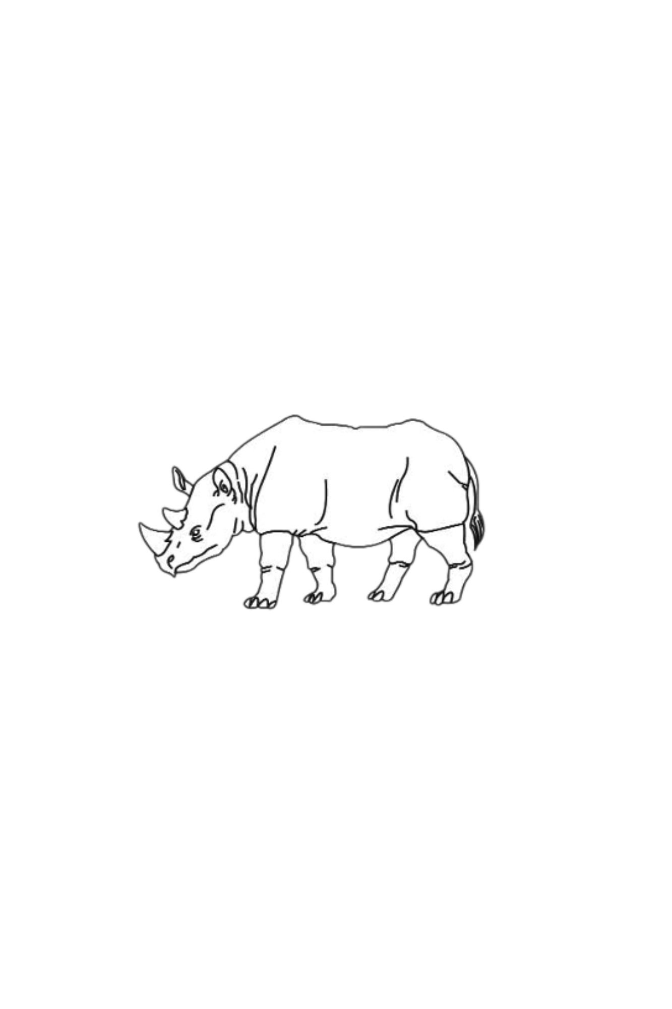 Rhino